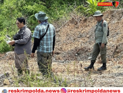 Kasus Penjualan Ilegal Hutan di Taman Nasional Bukit Tigapuluh