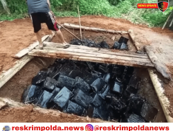 Pemusnahan 12 Ton Cincau Berformalin di Serang: Pemilik Pabrik Mengaku Tidak Tau Pakai Formalin untuk Jenazah