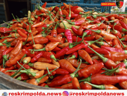 Cabai Rawit Jadi Barang Mewah? Harga Melambung di Tengah Ramadan