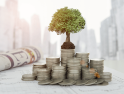 Investasi di Indonesia Masih Terhambat Birokrasi, Pemerintah Berusaha Perbaiki