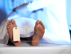 Tragedi Tabrak Lari Tewaskan Bocah 6 Tahun di Cikarang Barat