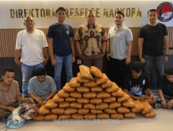 Polri Gagalkan Peredaran 47 Kg Ganja di Sumatera Barat, Empat Tersangka Diamankan