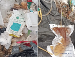 Limbah Medis Berbahaya Ditemukan di TPA Sumurbatu, Anggota DPRD Soroti Kelalaian Rumah Sakit