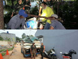 Pendampingan oleh Babinsa Kodim 0507/Bekasi Pastikan Penyerapan Gabah Lancar di Bekasi