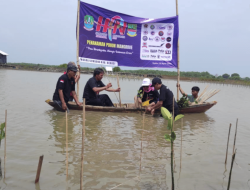 Wartawan Bekasi Raya Tanam 500 Mangrove di Pesisir Muaragembong untuk Peringati HPN 2025