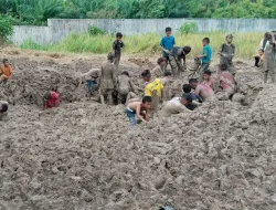 Warga Nekat Bongkar 9,5 Ton Mangga Ilegal Thailand yang Telah Dimusnahkan, Abaikan Peringatan Bahaya Kesehatan
