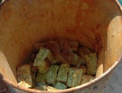 HEBOH! NELAYAN DI SUMENEP TEMUKAN DRUM BESI BERISI 35 KG SABU DI LAUT MASALEMBU, DIDUGA BAGIAN DARI JARINGAN PENYELUNDUPAN NARKOBA
