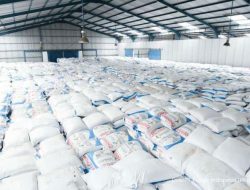 Audit BPK Bongkar Pemborosan Rp2,92 Triliun di PT Pupuk Indonesia: Alokasi Subsidi Pupuk Dinilai Tidak Efisien, Direksi Direkomendasikan Dapat Peringatan