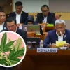 BNN GANDENG BRIN & KEMENKES: TELITI GANJA MEDIS DI LABORATORIUM FORENSIK BERSTANDAR ASEAN