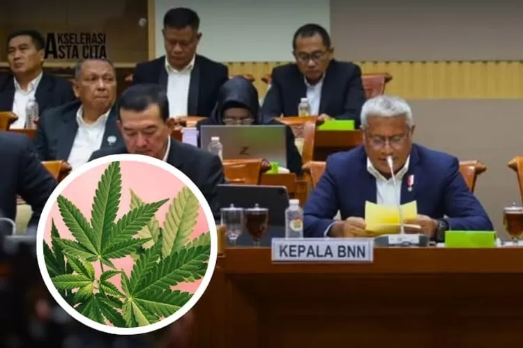 BNN GANDENG BRIN & KEMENKES: TELITI GANJA MEDIS DI LABORATORIUM FORENSIK BERSTANDAR ASEAN