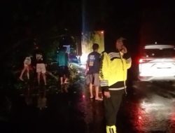 Langkah Cepat Pemdes Jumbleng bersama Warga Evakuasi Pohon Tumbang di Jalur Pantura