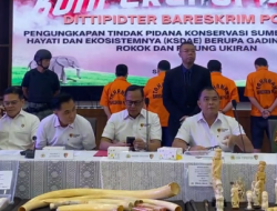 DITTIPIDTER BARESKRIM POLRI GELAR KONFERENSI PERS PENGUNGKAPAN KEJAHATAN KONSERVASI SDA HAYATI, SITA GADING GAJAH, PIPA ROKOK DAN PATUNG UKIRAN