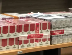 Operasi Gabungan Cukai Bongkar Jaringan Peredaran Rokok Tanpa Cukai: 2,5 Juta Batang Disita di Bogor