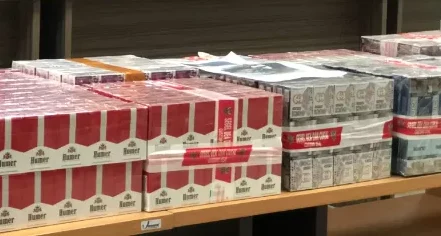 Operasi Gabungan Cukai Bongkar Jaringan Peredaran Rokok Tanpa Cukai: 2,5 Juta Batang Disita di Bogor