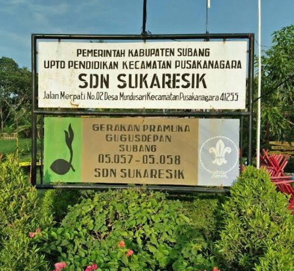 Diduga Langgar Prinsip Transparansi Dana BOS, SDN Sukaresik Anggarkan Sampul Rapor dari Komponen ATK
