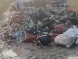 AKSES MENUJU DESA KARANGLIGAR DIKOTORI TUMPUKAN SAMPAH, DIDUGA DIBUANG DI TENGAH MALAM OLEH PIHAK TAK BERTANGGUNG JAWAB