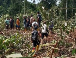 Tujuh Warga Tertimbun Longsor Saat Cari Kayu di Pegunungan Tirtanagaya – Proses Pencarian Masih Berlangsung