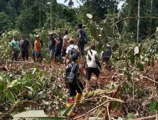 Tujuh Warga Tertimbun Longsor Saat Cari Kayu di Pegunungan Tirtanagaya – Proses Pencarian Masih Berlangsung
