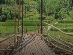 JEMBATAN PENGHUBUNG DI DESA BANTARAGUNG PUTUS DITERJANG BANJIR, WARGA TERISOLASI DAN BANGUN JEMBATAN DARURAT BAMBU
