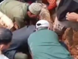 Tragedi di Final Kerapan Sapi “Pakar Sakera” 2025: Pagar Ambruk, Satu Tewas, Tiga Luka Serius