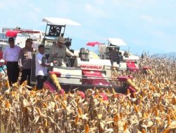 Polri Hasilkan 2,54 Juta Ton Jagung Lewat Panen Serentak, DPR RI Apresiasi Kiprah Kepolisian dalam Dukung Ketahanan Pangan