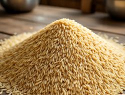 212 Merek Beras Diduga Tak Sesuai Standar, Negara Rugi Rp99 Triliun – Kementan & Bareskrim Ungkap Modus Kecurangan Massal