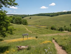 NEGARA BISA AMBIL TANAH PRIBADI, SAH DAN DIATUR HUKUM! INI 2 KONDISINYA