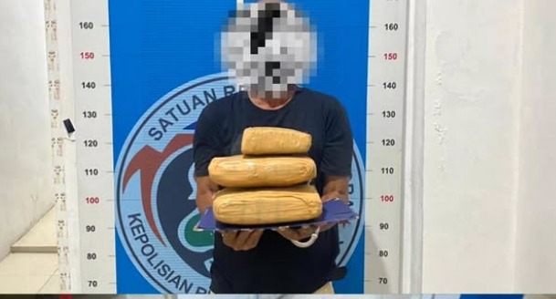 Satresnarkoba Polres Aceh Besar Tangkap Residivis Narkoba di Perkebunan Kuta Cot Glie, 5 Kg Ganja Diamankan