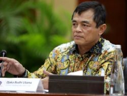 Dirjen Bea Cukai Bentuk Satgas Khusus Berantas Rokok Ilegal, Operasi Gurita Capai Ribuan Penindakan