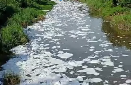 Limbah Busa Kembali Cemari Kali Cilemahabang, Warga Keluhkan Bau Menyengat dan Ikan Mati