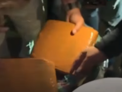 Pengiriman 200 Kg Ganja Tujuan Jawa Digagalkan, Kurir Diringkus di Simpang Rimbo