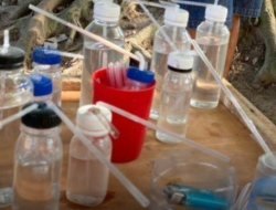 Gerebek Kampung Lalang: Polrestabes Medan Tangkap Bandar Sabu dan Runtuhkan Basis Operasi Narkoba