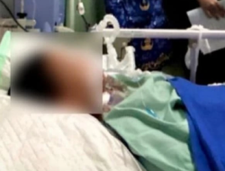Bocah 12 Tahun Asal Pekalongan Meninggal Dunia Usai Digigit Ular Weling Saat Tidur