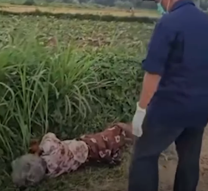 Lansia Korban Kekerasan oleh Anak Kandung di Probolinggo Kini Mendapat Perlindungan di Griya Lansia Malang