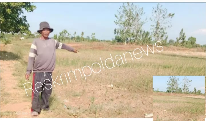 Aktifitas Galian Tanah Merah Alih Fongsi Petani Mendukung Untuk Tanam Padi