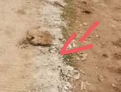 Jalan Desa Cemara kulon Losarang,Rusak Akibat Dilintasi Alat Berat