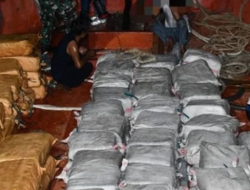 Bea Cukai Aceh: Hampir Separuh Narkoba Masuk Indonesia Berasal dari Aceh, Total 5,3 Ton Sepanjang 2025
