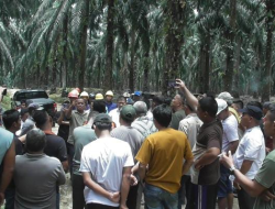 Polres Aceh Singkil Diminta Tindak Tegas Aktor Intektual di Balik Pematokan Ilegal Lahan Eks HGU PT Socfindo Lae Butar