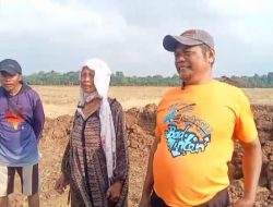 Alih Fungsi Lahan Sawah, Petani Desa Loyang Berharap Aktivitas Galian Kembali Dikerjakan Kembali