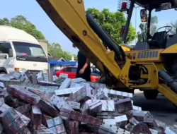 Ribuan Bungkus Rokok Selundupan Dimusnahkan di Hilir Perak, Digilas Alat Berat hingga Lenyap Tak Bersisa