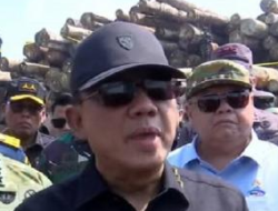 Satgas Penertiban Kawasan Hutan Kejagung Bongkar Jaringan Pembalakan Liar, Ribuan Meter Kubik Kayu Ilegal Disita di Gresik