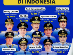 10 GUBERNUR TERKAYA DI INDONESIA BERDASARKAN LAPORAN LHKPN 2025