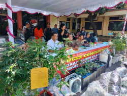 Geger di Pulau Dewata! Pasangan Suami-Istri WNA Sulap Rumah Kontrakan Jadi Kebun Ganja Hidroponik Modern