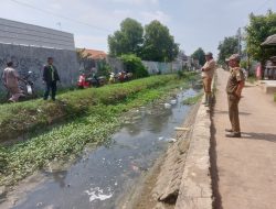 Kasi Trantibum Kec. Losarang,Umar,S.HTurun Langsung Membersihkan Sampah Di Kali Sana