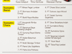 Pemerintah Cabut Izin 28 Perusahaan Kehutanan dan Nonkehutanan, Babak Baru Tata Kelola Lingkungan Dimulai