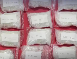 Subdit 3 Ditresnarkoba Polda Metro Jaya Bongkar Peredaran Sabu 1,2 Kilogram dan 1.451 Butir Ekstasi, Pasutri Berperan sebagai Bandar