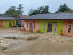 Tinggi Banjir Capai Lebih dari Satu Meter, Hampir Seluruh Dusun di Desa Mulyasari Terendam.