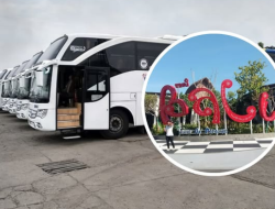 DAMRI Buka Rute Baru Jakarta–Denpasar, Sediakan Fasilitas Lengkap dan Tarif Rp590.000