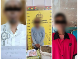 Satresnarkoba Polres Gayo Lues Bongkar Jaringan Ganja Lintas Provinsi, Dikendalikan dari Lapas, 39 Kg Barang Bukti Disita
