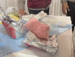 Penyelundupan Sabu “Logo Harimau” via Travel Darat Digagalkan, Polda Kalsel Sita Hampir 29 Kg Sabu dan Ribuan Ekstasi